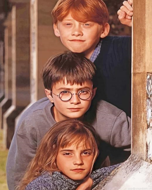 Harry Potter Hermione And Ron Painting By Numberss.png