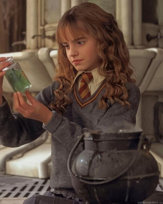 Harry Potter Hermione Movies Painting By Numberss.png