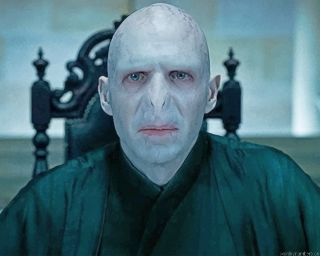 Harry Potter Lord Voldemort Movies Painting By Numbers.png