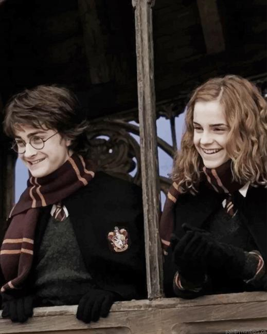 Harry Potter With Hermione Actors Painting By Numberss.png