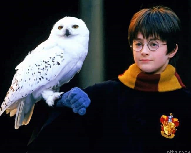 Harry Potter And Owl Movies Painting By Numberss.png
