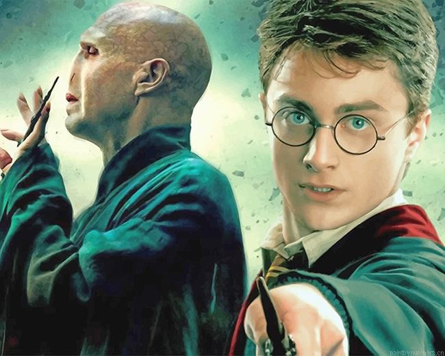 Harry Potter And Voldemort Movies Painting By Numbers.png