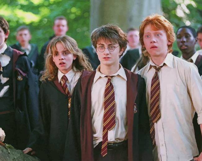 Harry Ron And Hermione Actors Painting By Numberss.png