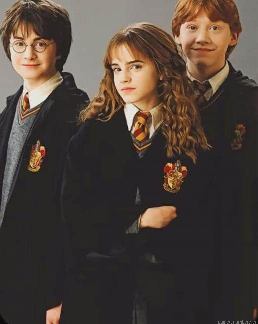 Harry Ron And Hermione Harry Potter Painting By Numberss.png