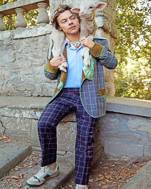 Harry Styles And Lamb Painting By Numberss.png