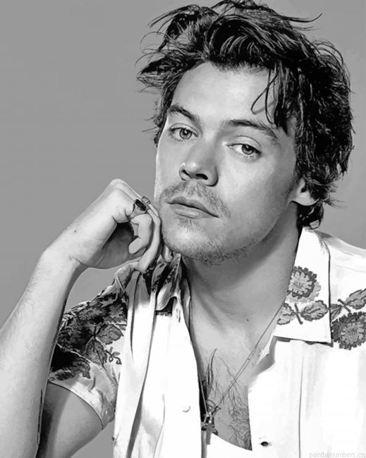 Harry Styles Black And White Singers Painting By Numbers.png