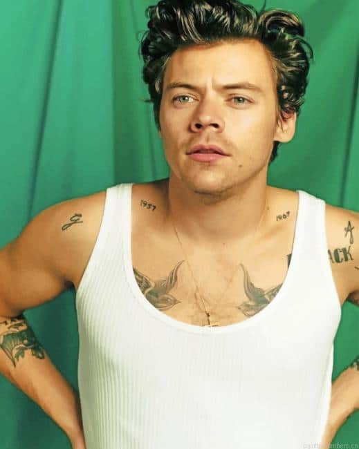 Harry Styles Green Background Singers Painting By Numberss.png