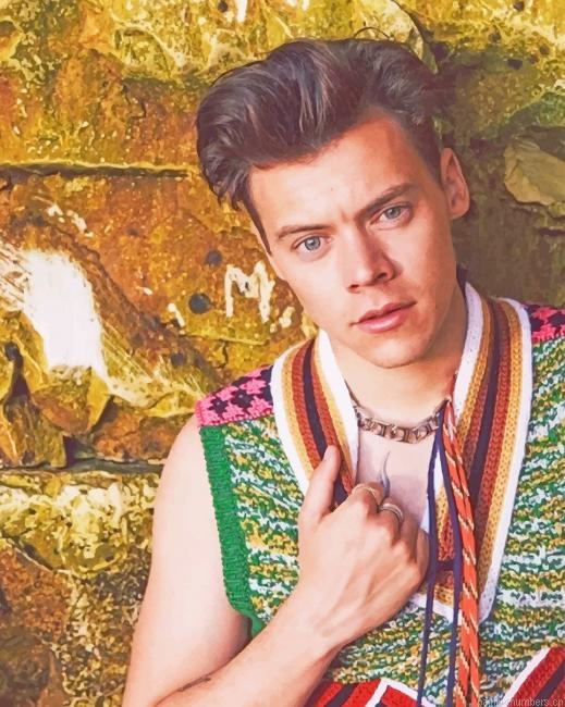 Harry Styles Photoshoot Singers Painting By Numberss.png