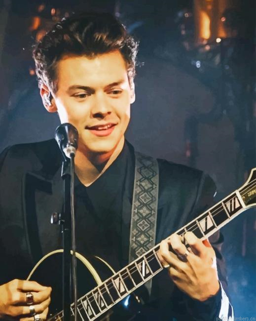 Harry Styles Playing Guitar Singers Painting By Numberss.png