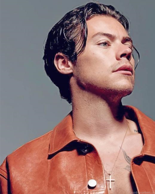 Harry Styles Shooting Singers Painting By Numberss.png
