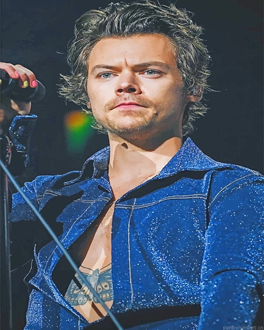 Harry Styles Singer Painting By Numbers.png