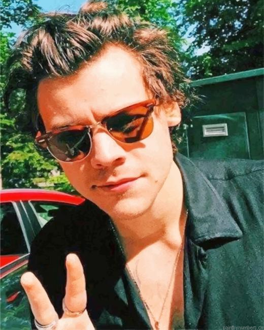 Harry Styles Singers Painting By Numberss.png