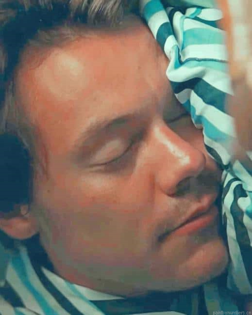 Harry Styles Sleeping Singers Painting By Numberss.png