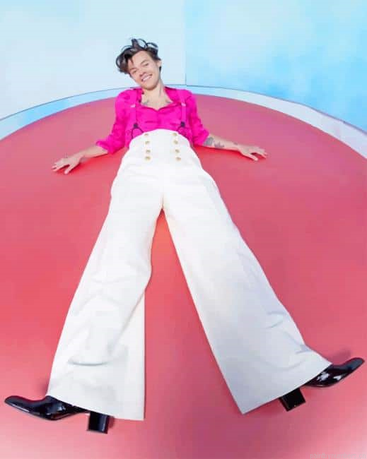 Harry Styles Wearing Pink Painting By Numberss.png