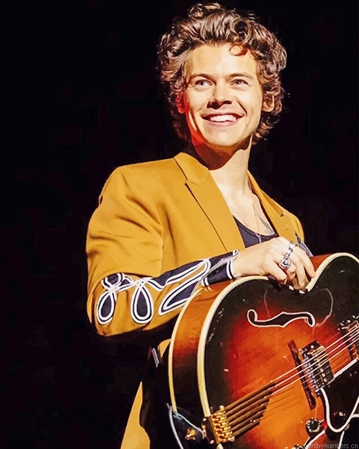 Harry Styles Wearing Yellow Singers Painting By Numberss.png