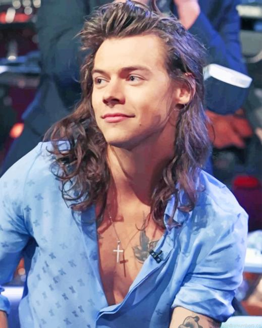 Harry With Long Hair Singers Painting By Numberss.png