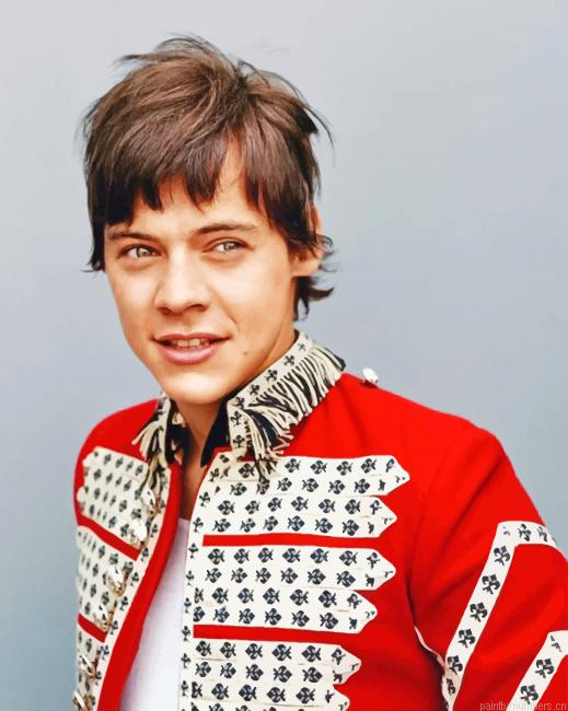 Harry Styles Another Man Singers Painting By Numberss.png