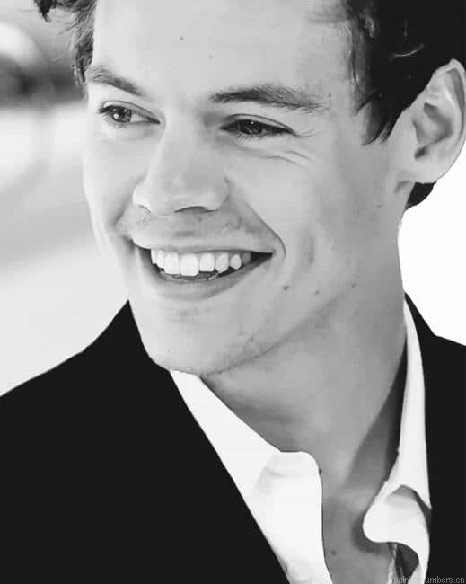 Harry Styles Black And White Singers Painting By Numberss.png