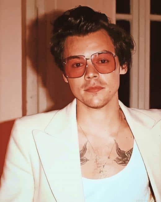 Harry Styles Wearing Glasses Singers Painting By Numberss.png