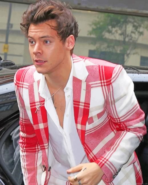 Harry Styles Wearing White Red Suit Singers Painting By Numberss.png