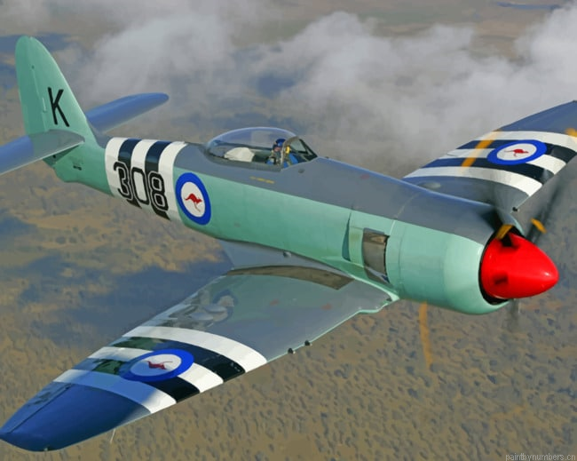 Hawker Sea Fury Plane Aircraft Painting By Numberss.png