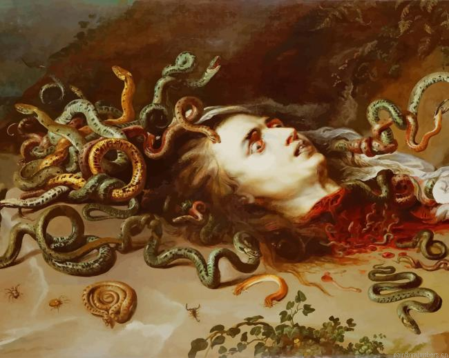 Head Of Medusa Peter Rubens Painting By Numberss.png