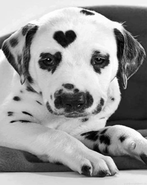 Heart Shaped Dalmatian Painting By Numberss.png