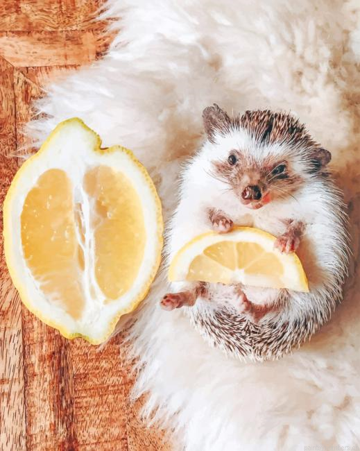 Hedgehog Lemon Animals Painting By Numbers.png
