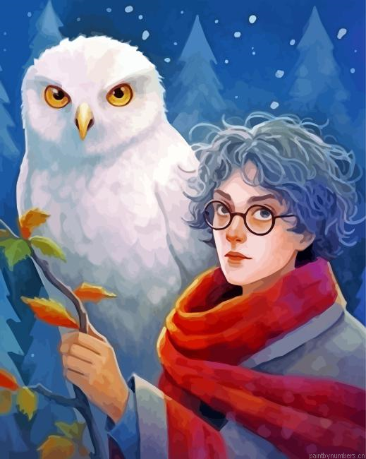 Hedwig And Harry Potter Painting By Numberss.png