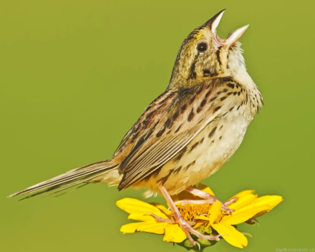 Henslow Sparrow Bird On A Flower Painting By Numberss.png