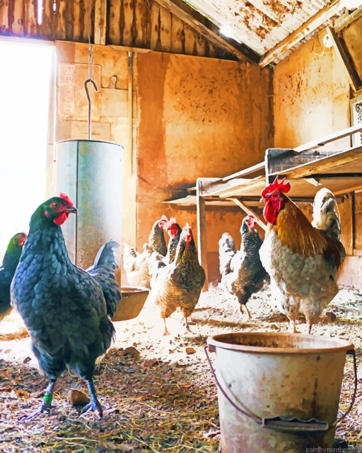 Herd Hen Birds Painting By Numbers.png