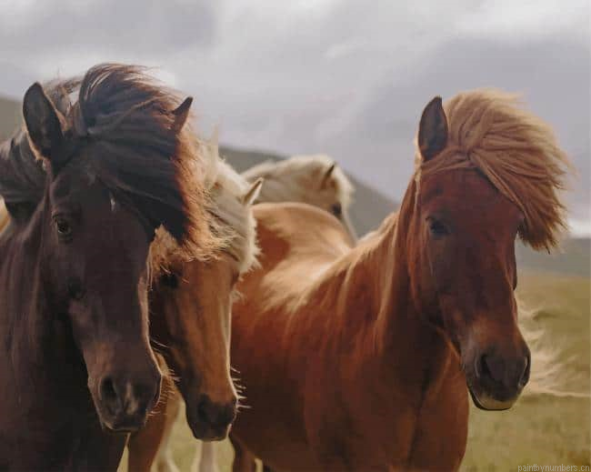 Herd Of Horses Animals Painting By Numberss.png