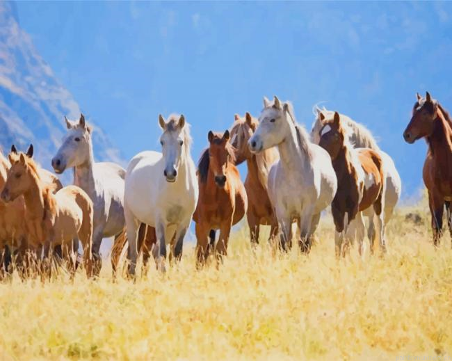 Herd Of Mustang Horses Painting By Numberss.png