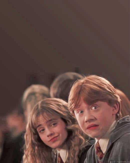 Hermione And Ron Harry Potter Painting By Numberss.png