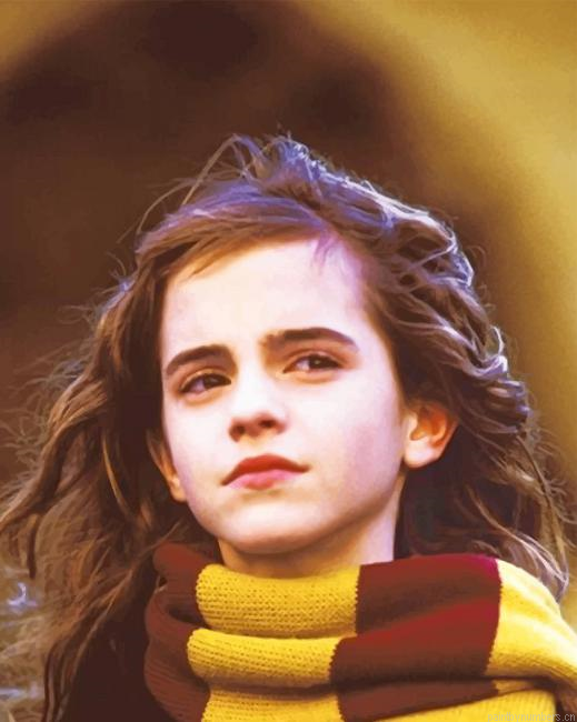 Hermione Granger Harry Potter Painting By Numberss.png