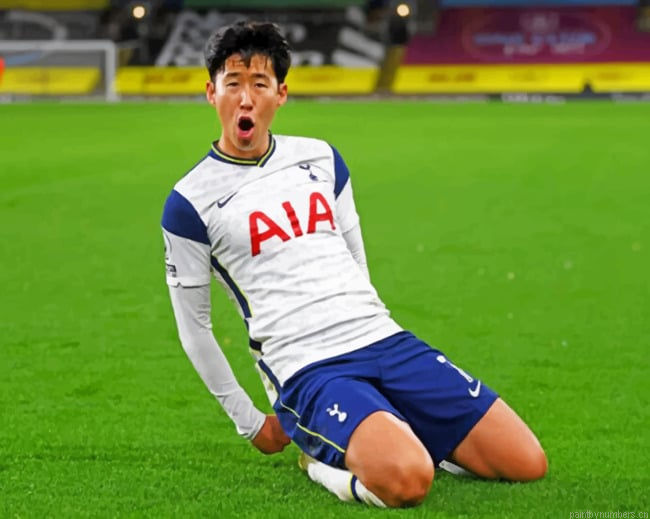 Heung Min Painting By Numbers.png