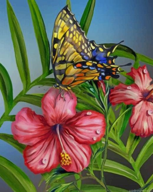 Hibiscus Butterfly Painting By Numbers.png