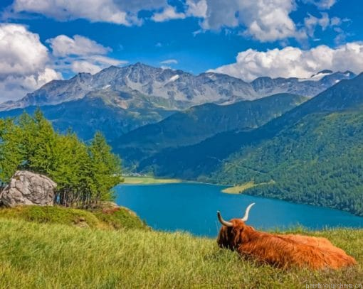 Highland Cow Watching The Lake Painting By Numberss.png
