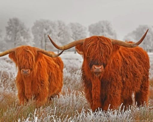 Highland Cows In The Snow Painting By Numberss.png