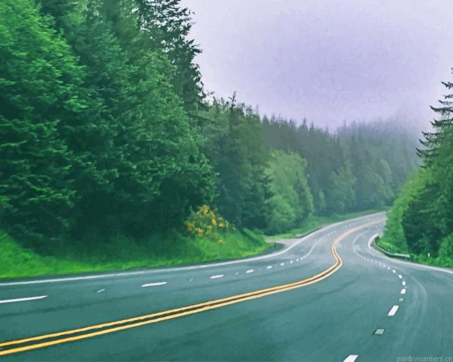 Highway Through Forest Landscapes Painting By Numberss.png