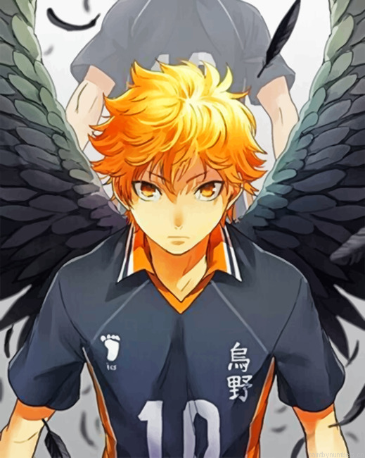 Hinata Haikyuu Painting By Numberss.png