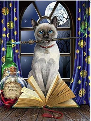 Hocus Pocus Cat Painting By Numbers.png