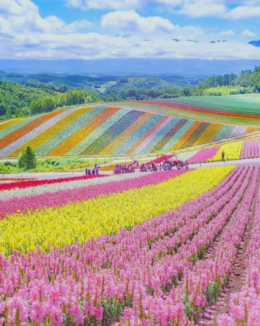Hokkaido Japan Nature Painting By Numberss.png