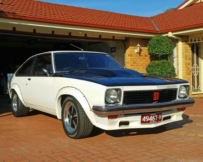 Holden Torana Ss Cars Painting By Numberss.png