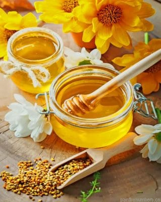 Honey Photoshoot Food Painting By Numbers.png