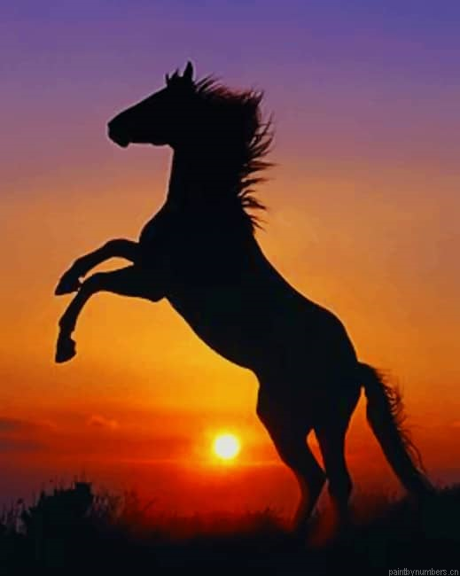 Horse At Sunset Silhouette Painting By Numberss.png