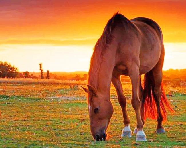 Horse Easter Island Moai In Sunset Animals Painting By Numberss.png