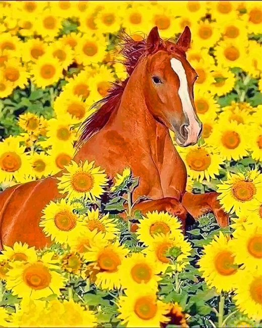 Horse In Sunflowers Field Animals Painting By Numberss.png