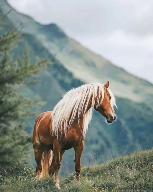 Horse In The Forest Animals Painting By Numbers.png