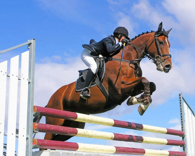 Horse Obstacles Skipping Sport Painting By Numberss.png